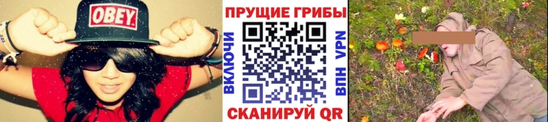 Галлюциногенные грибы ЛСД  Апатиты 