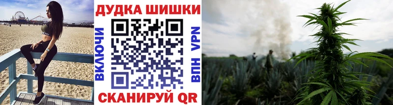 маркетплейс телеграм  Апатиты  Марихуана сатива  где купить наркоту 